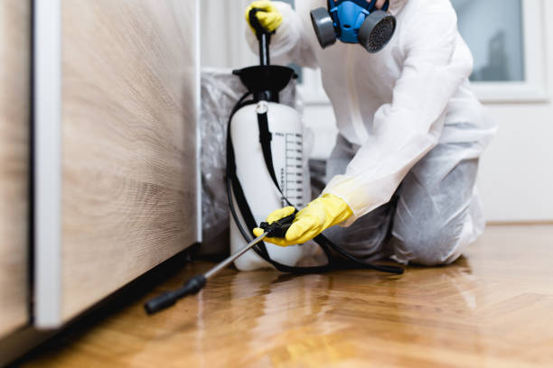 Best Mosquito Control Services  in Lebanon South, PA