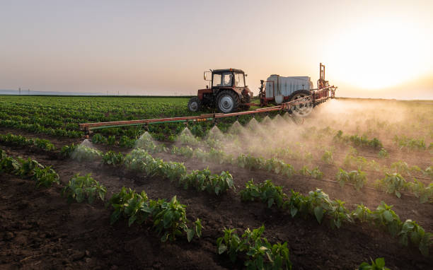 Pest Prevention Services in Lebanon South, PA