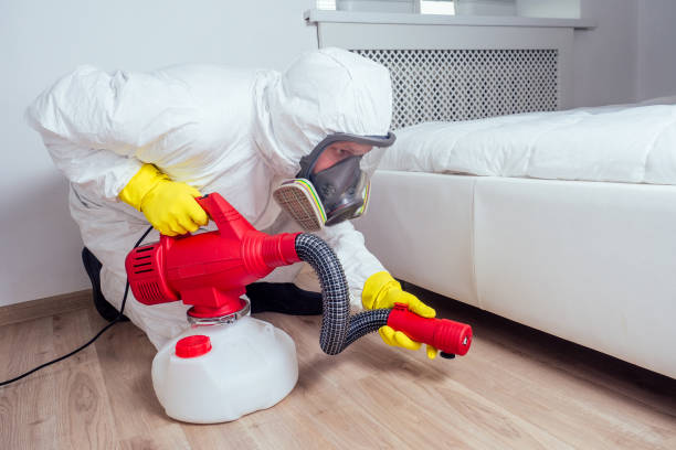 Best Insect Control  in Lebanon South, PA