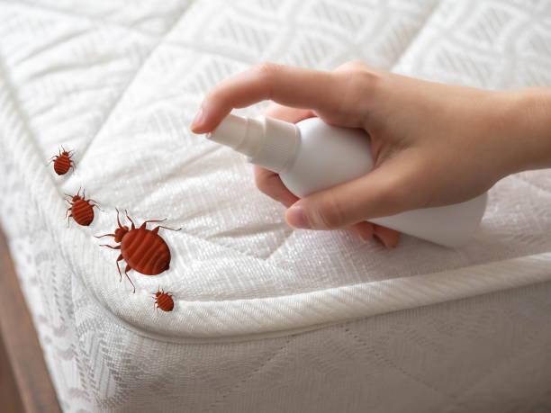 Best Emergency Pest Control  in Lebanon South, PA