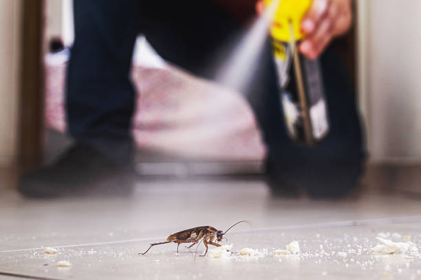 Best Pest Control for Businesses  in Lebanon South, PA