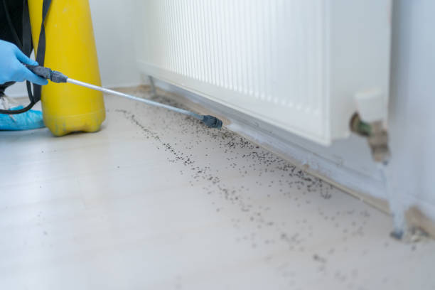 Best Pest Inspection Near Me  in Lebanon South, PA