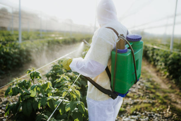 Best Best Pest Control Companies  in Lebanon South, PA